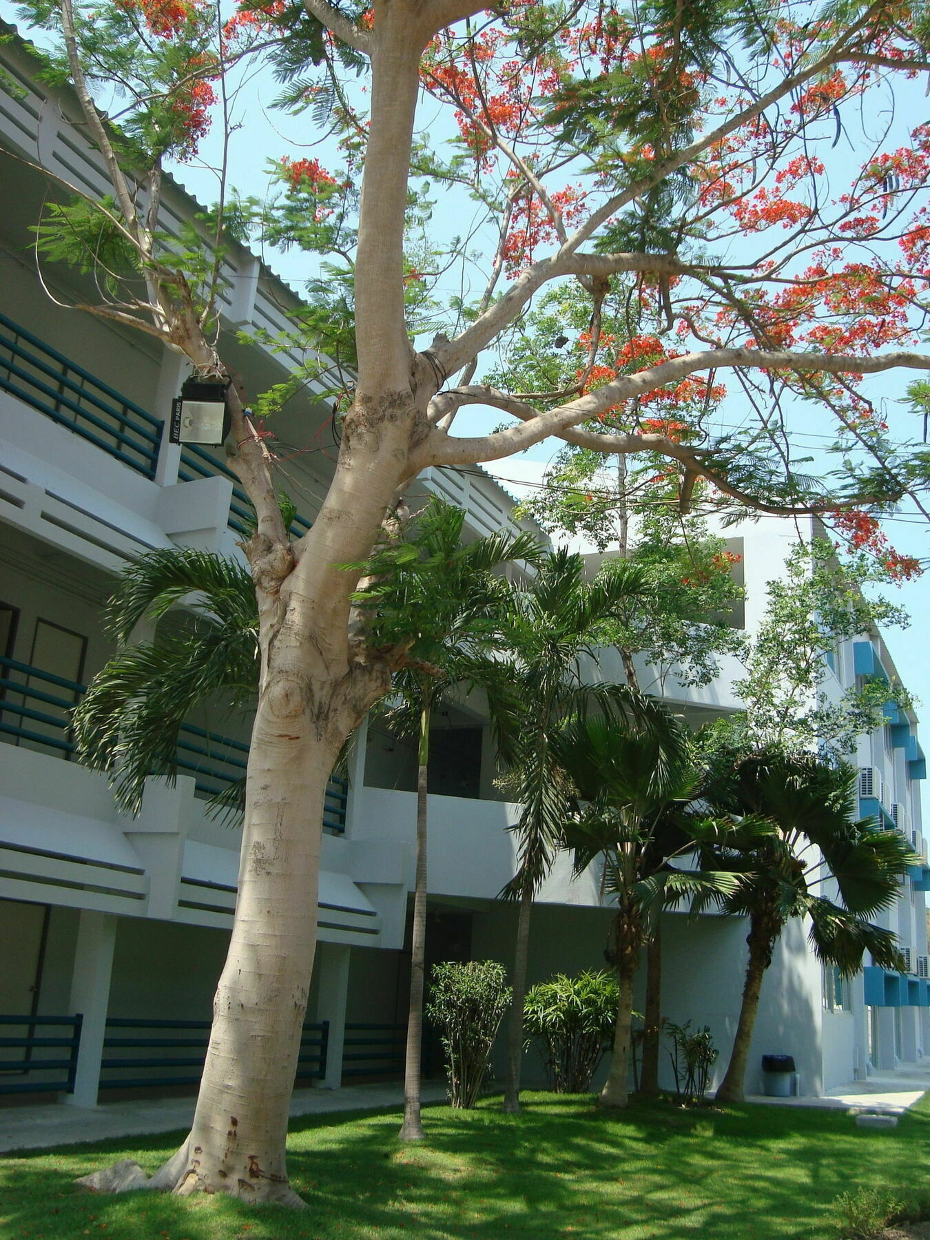 Addera Residence Hua Hin Dış mekan fotoğraf